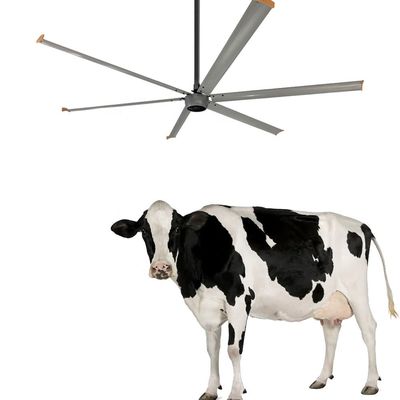 Ceiling Fan for Construction Site Ventilation 3.6m High Volume 1500W 220V 10ft HVLS Fan