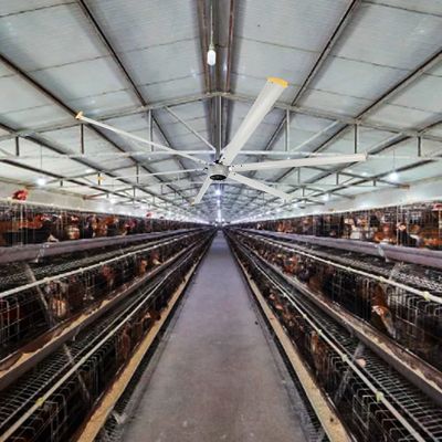 800m3/h Air Volume 2023 PMSM Direct Drive 24ft 7.3m HVLS Giant Industrial Ceiling Fans Motor