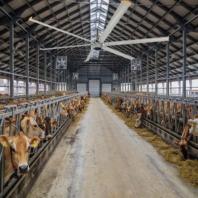 Powerful Air Cooling Fan for Cow House and Horse Barn 3-8M Length 280-1400m2 Coverage