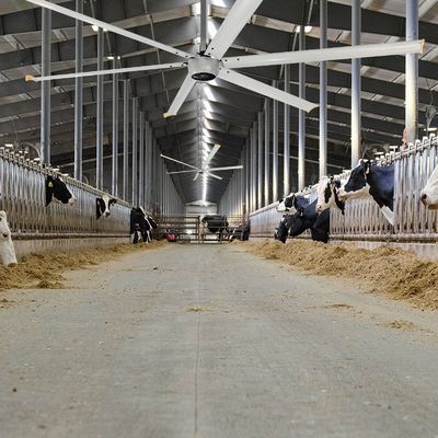 800m3/h Large Air Volume HVLS Fans for Industrial Spaces in Energy Saving Design